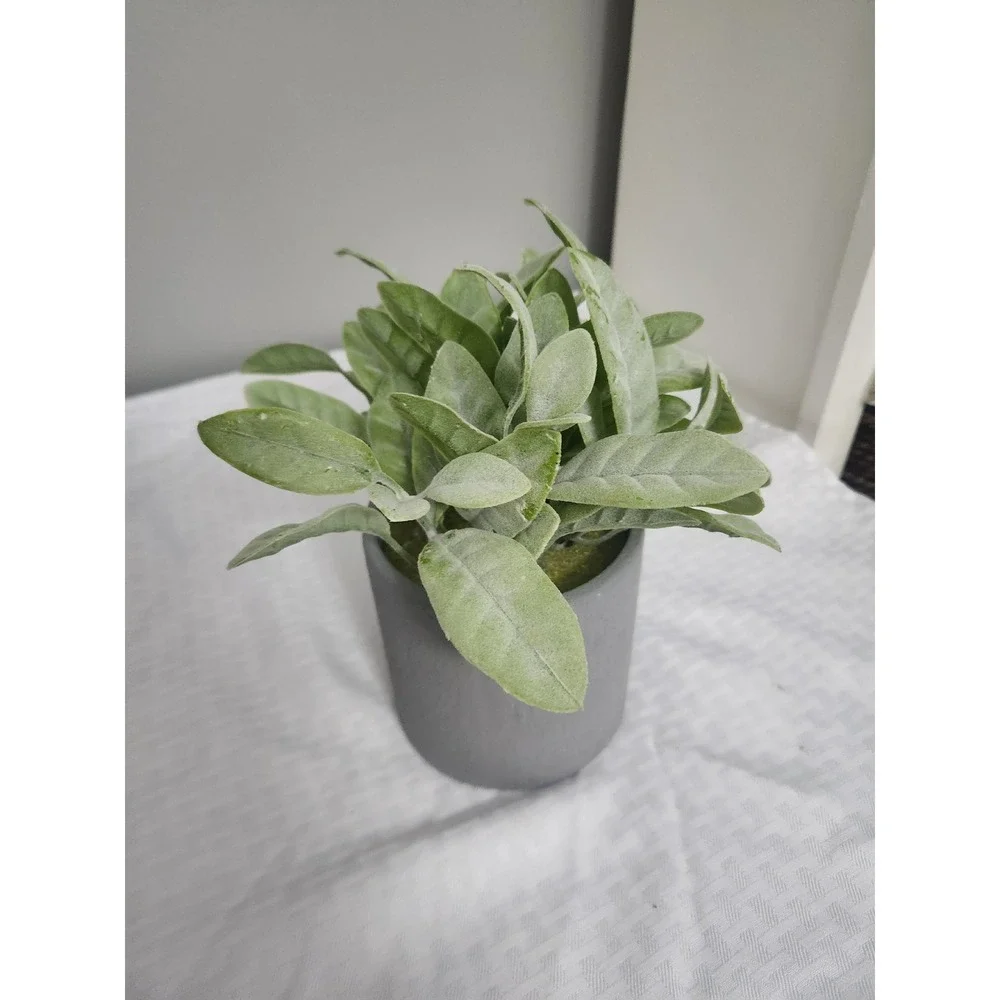 Small Artificial Lambs Ear Faux Plant in Gray Stone Finish Pot Home Decor Accent